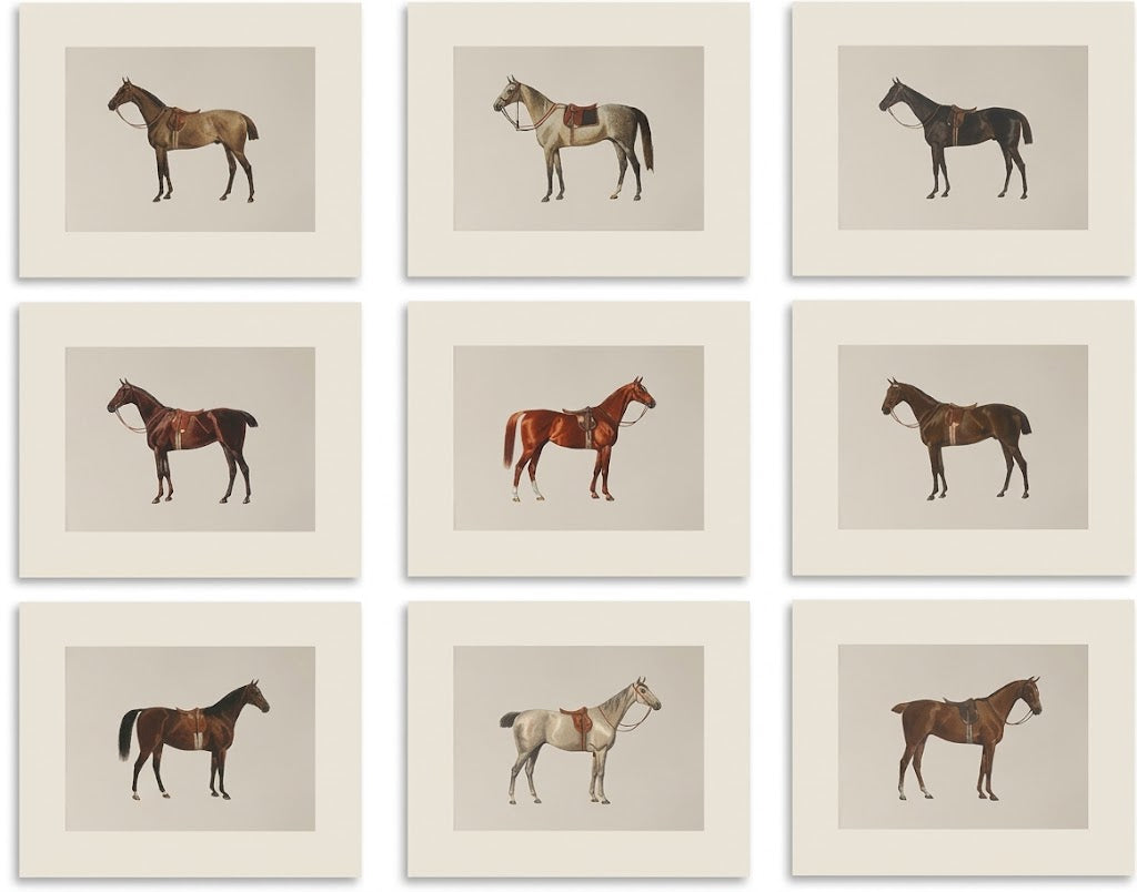 Poster print: Overview of a set of nine horse illustration posters, each showing a saddled horse in side profile on a beige field.